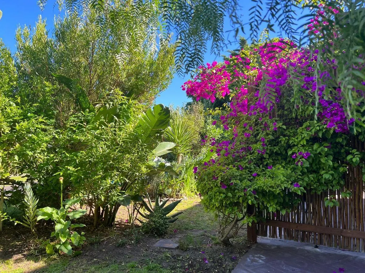 Sunset Beach Living Guesthouse Cape Town 0*,  South Africa